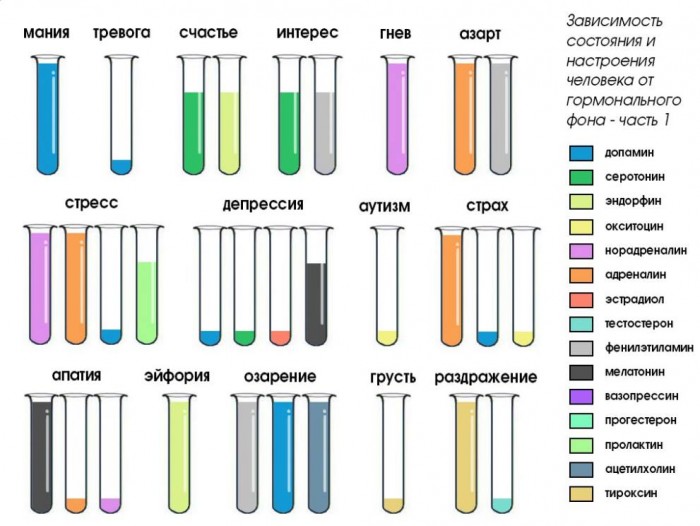 ''Химия''_эмоционального_состояния_(инфо).jpg