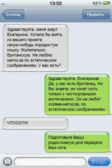 Кошку.jpg