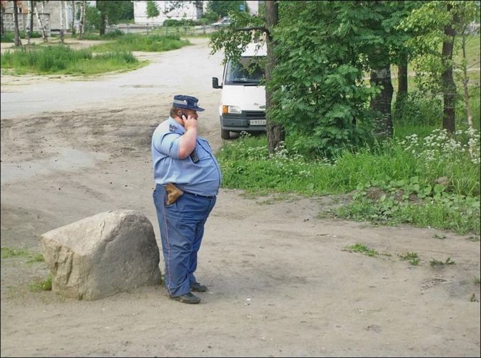 111.jpg