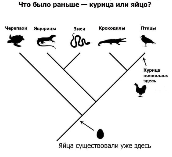 DY-didoXkAA84c9[1].jpg