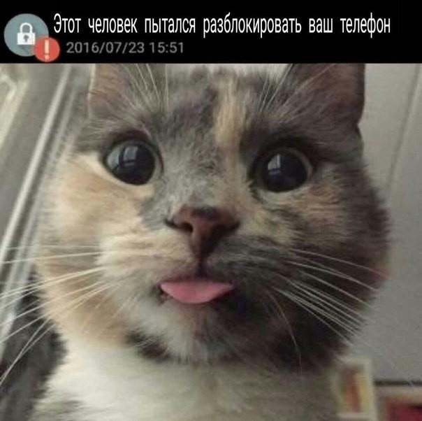 DZZFU8xW0AAyOUW[1].jpg