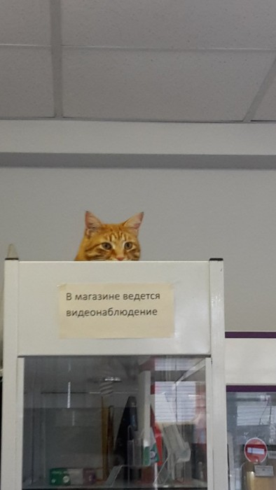 DZhfBmyWsAAkSNO[1].jpg