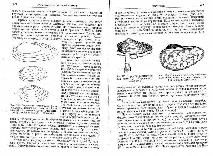 1raykov_b_e_rimskiy_korsakov_m_n_zoologicheskie_ekskursii (1)_122.jpg