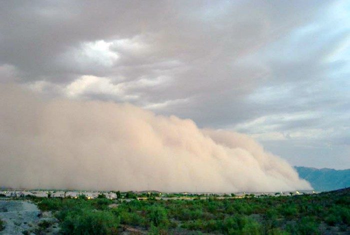 Haboob2.jpg