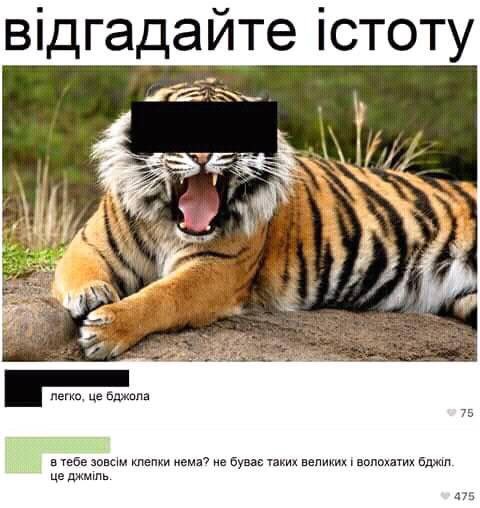 DjnYTCIXcAU6zYA[1].jpg