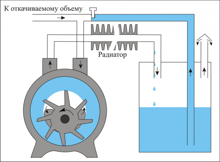 Водокольцевой.png