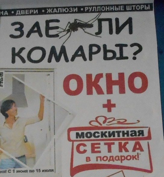 комары.jpg