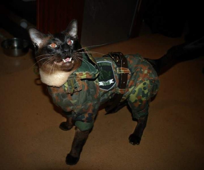 DnYPDTeWwAA2IxM[1].jpg
