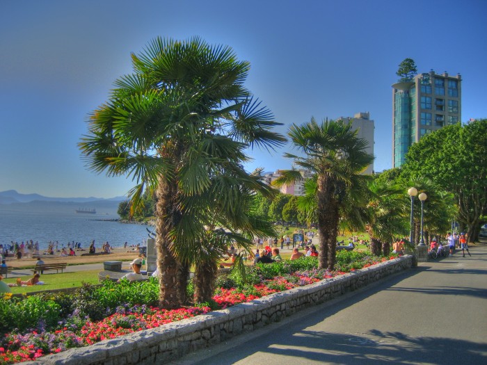 Vancouver_palms_englishbay.jpg