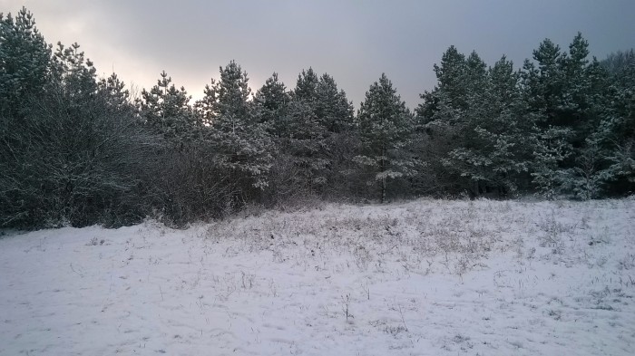 WP_20181211_006.jpg