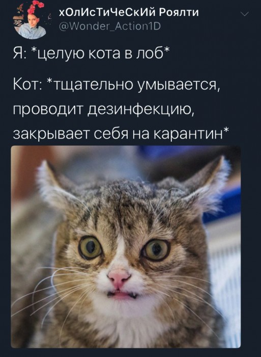 D1kDKqkW0AUojCb.jpg