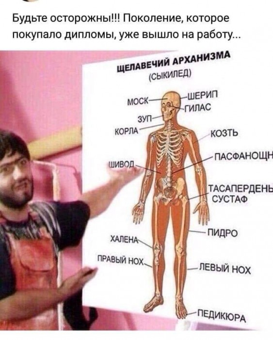 Дипломы.jpg