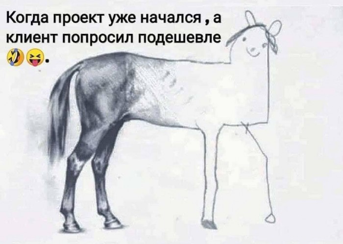 1...а_клиент_попросил_подешевле.jpg