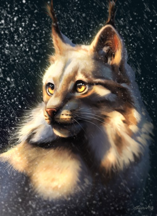 animal-art-art-рысь-Rivail-Gonçalves-4894499.jpeg