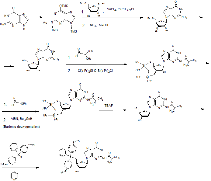 deoxzribonucleoside.png