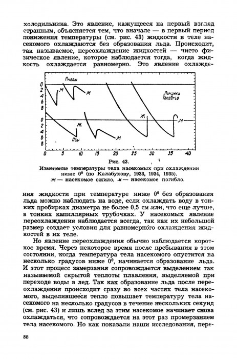 Калабухов Спячка_090.jpg