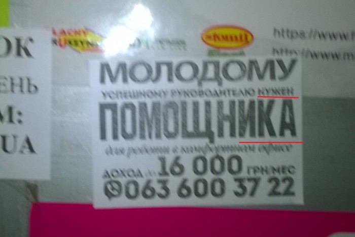 WP_20191007_001.jpg