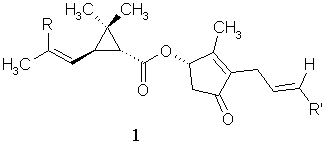 Pyrethrines.gif