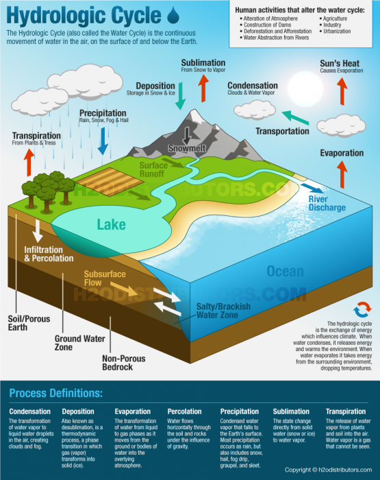 hydrologic-cycle-diagram.png