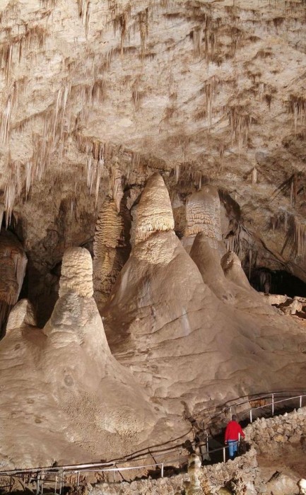 Carlsbad Caverns National Park.jpg