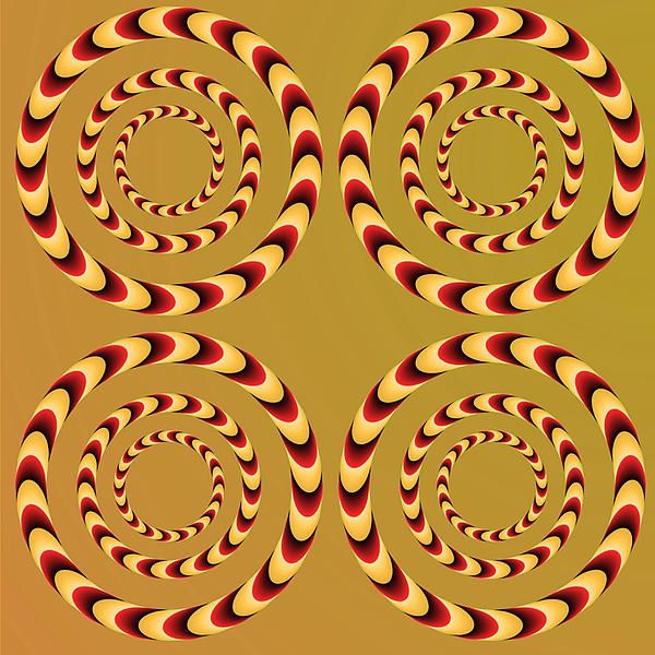 Optical Ilusions Summer Spin.jpg