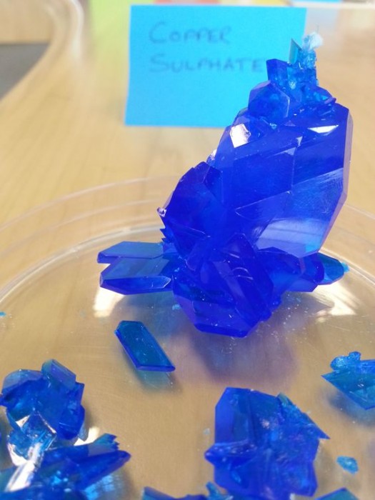 copper sulfate 1.jpg