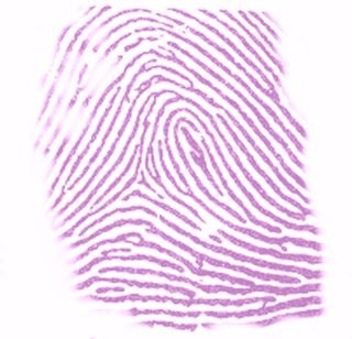 Ninhydrin_staining_thumbprint.png