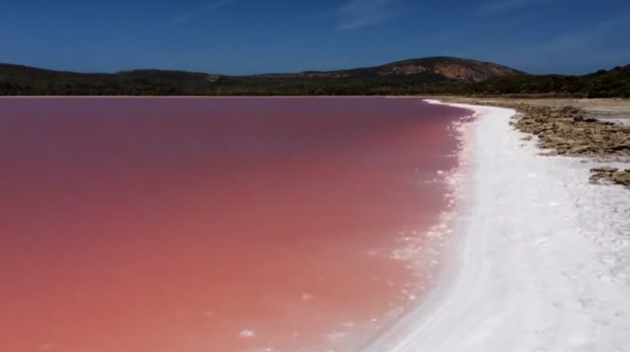 Lake_Hillier_Shoreline_Pink_Hue_Salt_Deposite.jpg