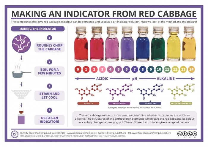 Making-a-Red-Cabbage-pH-Indicator.jpg