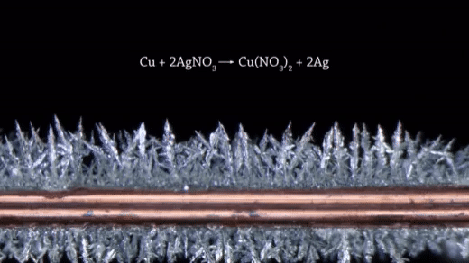 Copper - Silver Nitrate - Microscopic timelapse.gif