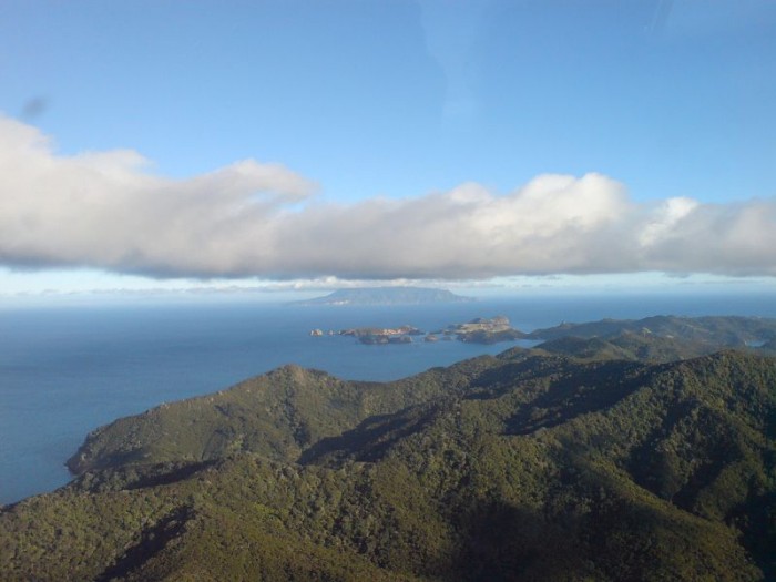 Little_Barrier_Island_From_Above_Great.jpg