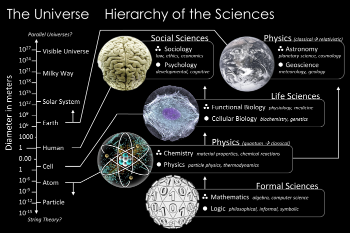 The_Scientific_Universe.png