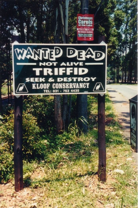 Triffid_sign_kloof_sa.jpg