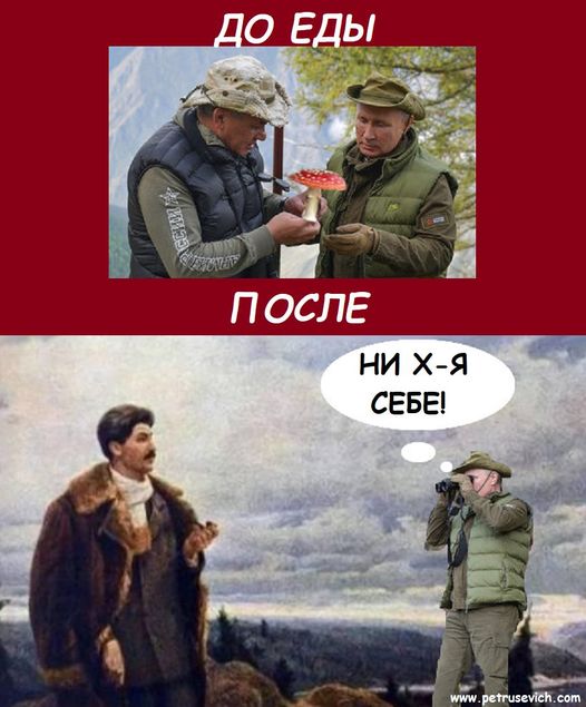 Гриб.jpg