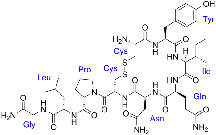 Oxytocin_with_labels.png