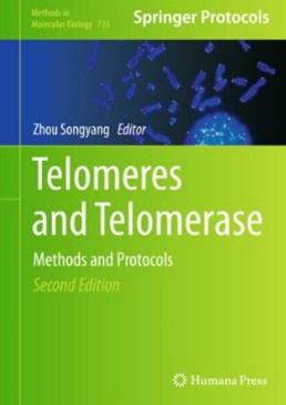 Telomeres and Telomerase.jpeg