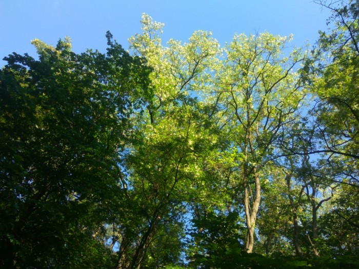 IMG_20220608_085032.jpg